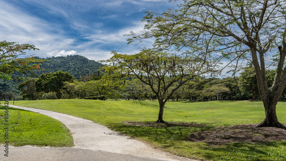 Concrete footpaths are laid in the tropical park. Green grass on the lawns. Sprawling acacia trees Caesalpinia pulcherrima against a blue sky and clouds. A hill in the distance. Malaysia. Borneo. Concrete footpaths are laid in the tropical park. Green grass on the lawns. Sprawling acacia trees Caesalpinia pulcherrima against a blue sky and clouds. A hill in the distance. Malaysia. Borneo.
