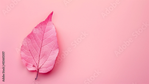 ピンクの背景にピンク色の落ち葉が一枚。コピースペース,テキスト用スペース,Generative AI。