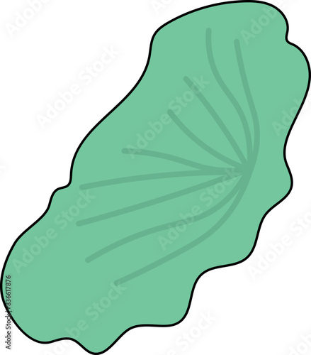 부처님 오신 날 연못에 위에 있는 연 옆과 연 꽃