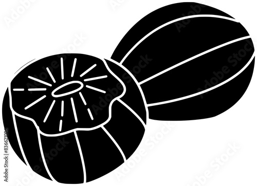 nutmeg illustration food silhouette anise logo ingredient icon pepper outline cooking indian herb seasoning spice cardamom cuisine garlic chili shape cinnamon ginger aroma for vector graphic