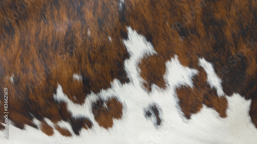 Photos background cow skin texture leather with fur white brown
