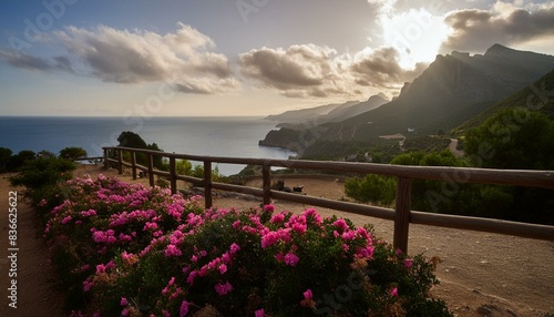 view of the region sea from the castle, view of bay, sunset over the sea, view of the city of kotor country, Seaside town in Spain with flowers, fences and ocean 