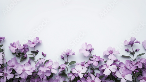 Purple flowers on a white background. Copy space. Generative AI 