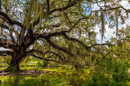 The largest park in the USA