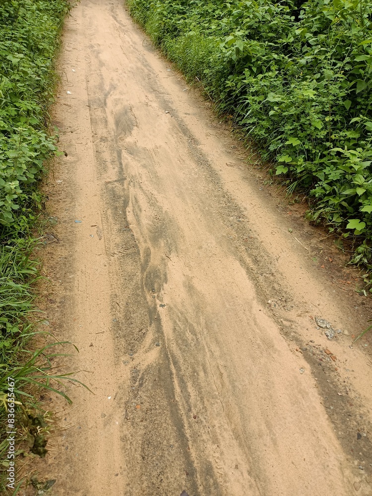 Dirt road to a Farm stock photo Dirt road to a Farm stock photo