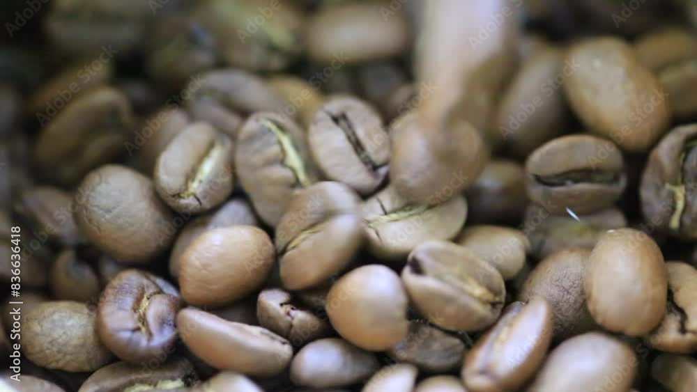 a beans selection. process of hand drip coffee a beans selection. process of hand drip coffee