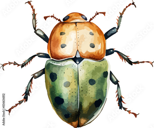 Beetle clipart design illustration