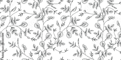Butterfly pea floral pattern black and white illustration