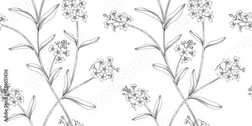 Forget me not  floral pattern black and white illustration