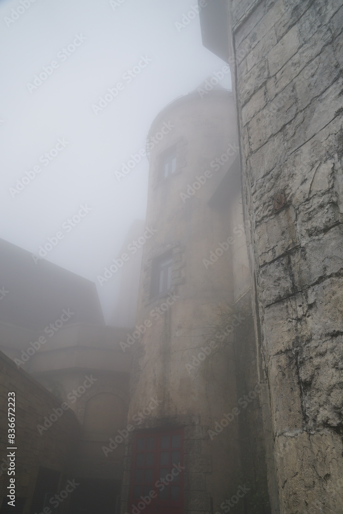 Fototapeta premium Foggy weather with a tall building in the background