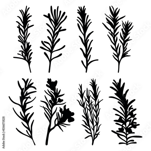 Rosemary silhouette herbs stencil templates