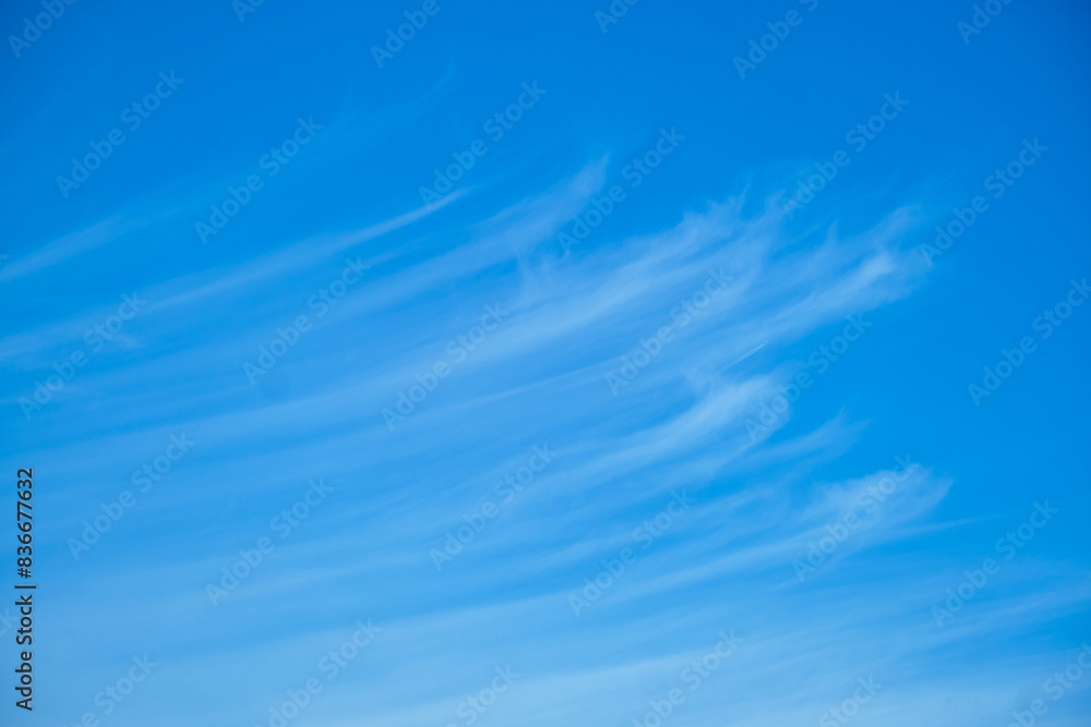 White cirrus clouds on a blue daytime sky White cirrus clouds on a blue daytime sky