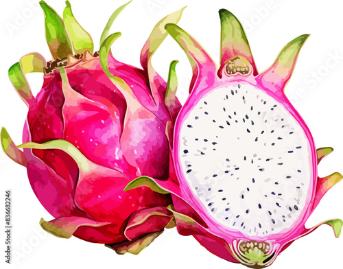 Dragon fruit clipart design illustration