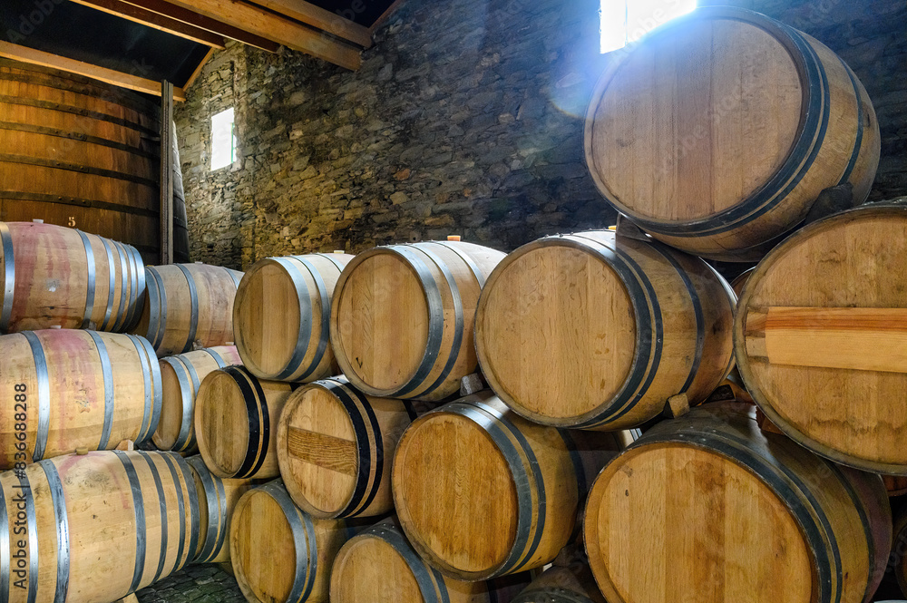 Oak wood barrels for aging wine Oak wood barrels for aging wine