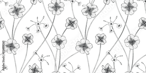oxalis floral pattern black and white illustration photo