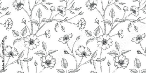 wild rose floral pattern black and white illustration