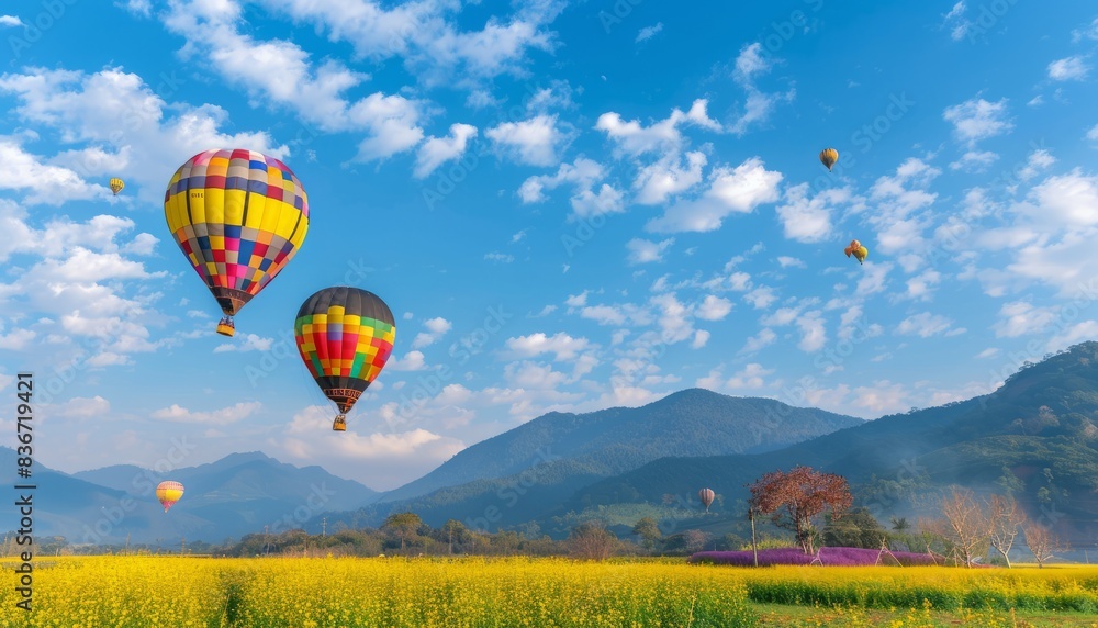 Obraz premium Up, up, and away: Hot air balloons soar over Chiang Rai's stunning flower fields