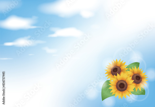 令和6年のひまわりと空の暑中見舞い（文字入り）