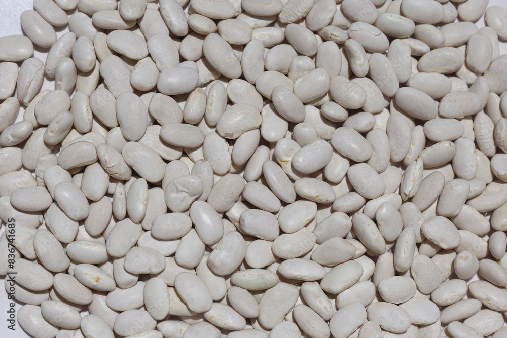 dry white beans background. beans background dry white beans background. beans background