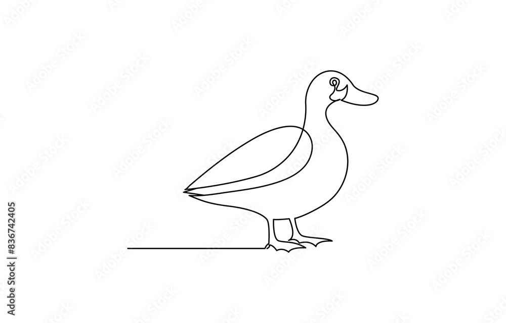 Duck in one continuous line drawing vector illustration. Pro vector, duck continuous line vector illustration, Continuous single line art drawing of pet animal duck concept outline vector illustration Duck in one continuous line drawing vector illustration. Pro vector, duck continuous line vector illustration, Continuous single line art drawing of pet animal duck concept outline vector illustration