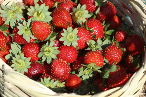 ripe strawberries in a basket