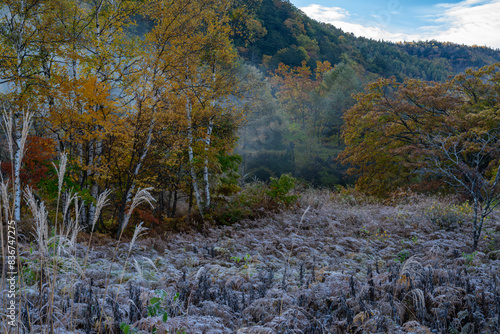 放射冷却の一の瀬園地