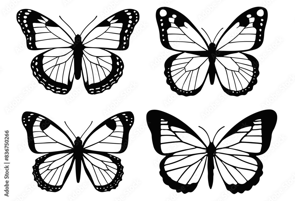 Variety of Butterflies A Diverse vector Collection Variety of Butterflies A Diverse vector Collection