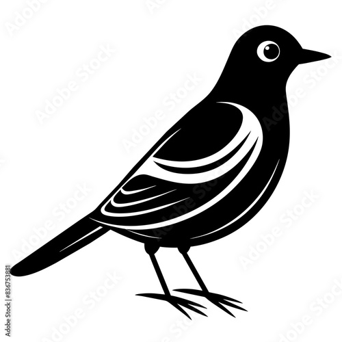 illustration of a bird