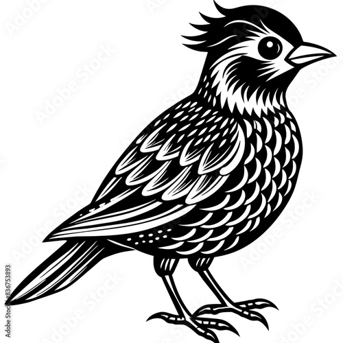 illustration of a bird