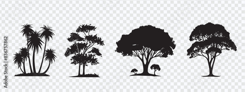  Tree Silhouettes Vector Set  Diverse Species in Detailed Outlines 