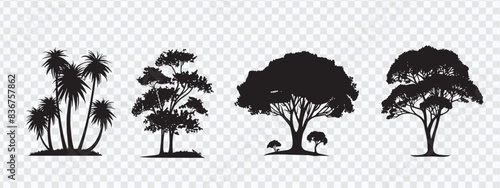 "Tree Silhouettes Vector Set: Diverse Species in Detailed Outlines"