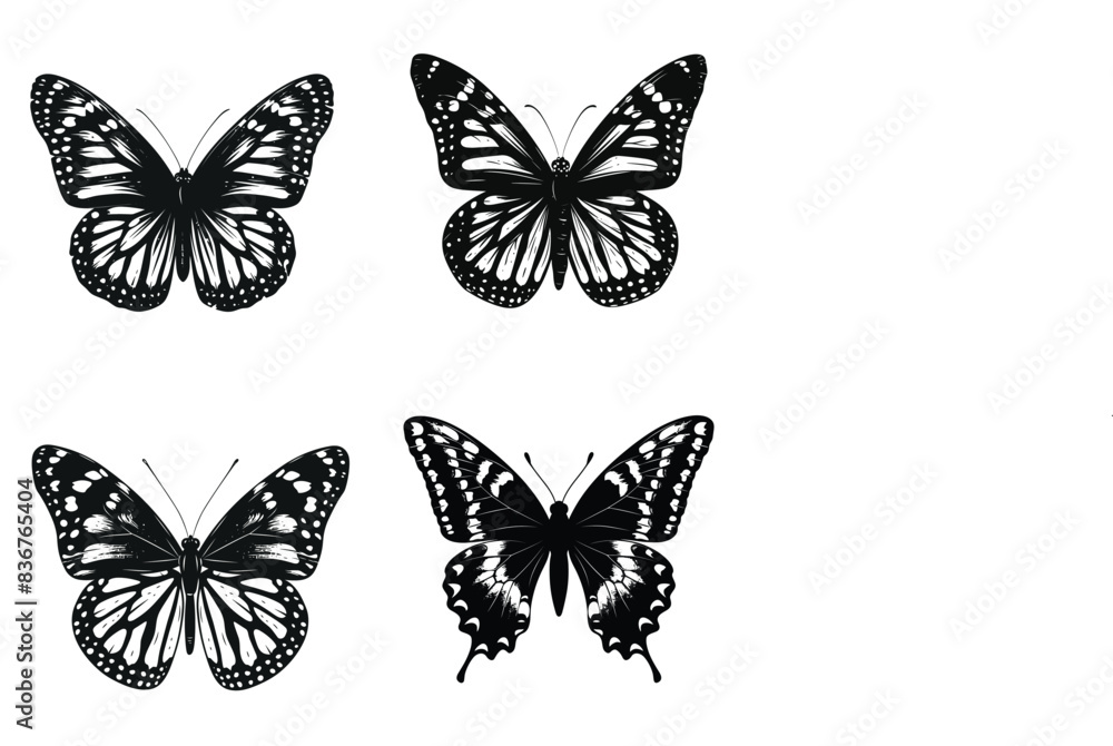 collection of butterflies collection of butterflies