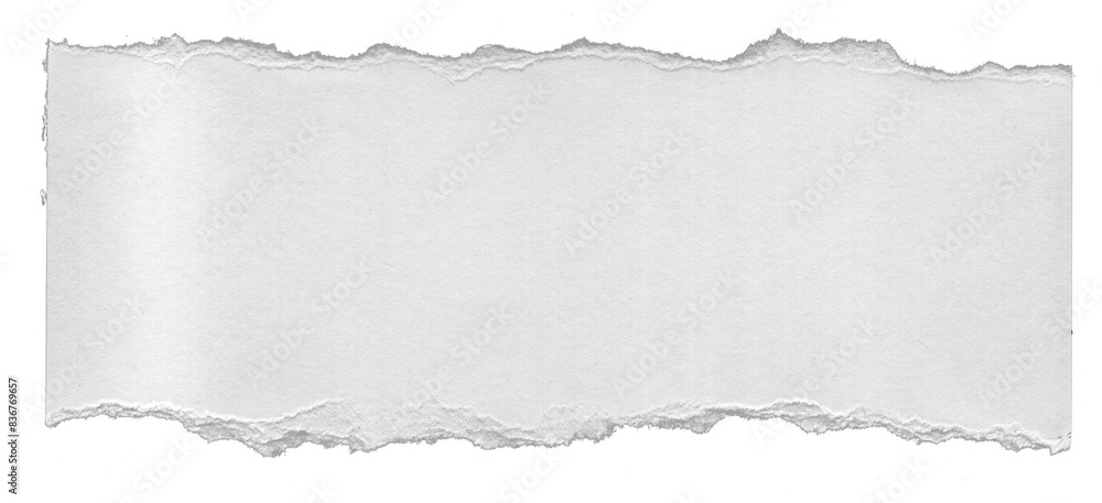 Naklejka premium Stylish Torn Ripped Paper Texture Stock 