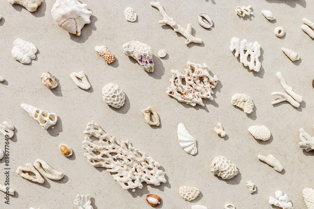 Seashells and corals as minimal pattern. Stylish layout of found shell and coral on ocean shore. Summer relahation concept, beach vibes. Top view nature background, neutral white beige tones gradient Seashells and corals as minimal pattern. Stylish layout of found shell and coral on ocean shore. Summer relahation concept, beach vibes. Top view nature background, neutral white beige tones gradient