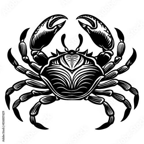 Black and White Illustrations of Sea Creatures and Fish, silhouette illustrations of various sea creatures in hand drawn style