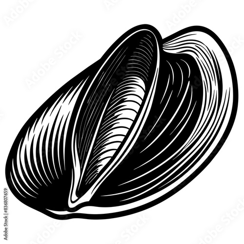 Black and White Illustrations of Sea Creatures and Fish, silhouette illustrations of various sea creatures in hand drawn style