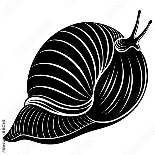 Black and White Illustrations of Sea Creatures and Fish, silhouette illustrations of various sea creatures in hand drawn style