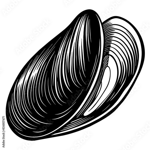 Black and White Illustrations of Sea Creatures and Fish, silhouette illustrations of various sea creatures in hand drawn style