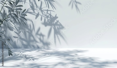 Abstract white background with shadow of leaf and tree for product display presentation or wallpaper design decoration in summer concept. empty table top for advertising and branding concept
