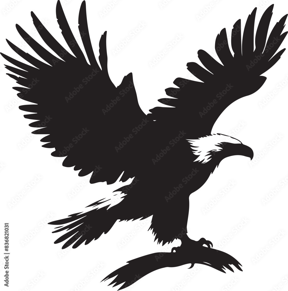 Obraz premium Fish Eagle shilhotte, vector , white background
