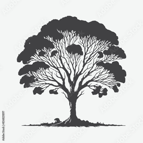 Print Majestic Paperbark Tree Silhouette Against the Sky