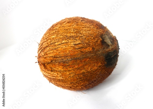 Coconut isolated on white background. Full depth of field.