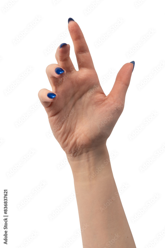 Hand of a woman with blue nails isolated on a white background. Hand of a woman with blue nails isolated on a white background.