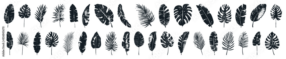 Silhouette jungle leaf large collection. Abstract black palm tropical rainforest leaves. Decorative plants. Graphic foliage silhouettes and elements for design isolated on white background. Vector set Silhouette jungle leaf large collection. Abstract black palm tropical rainforest leaves. Decorative plants. Graphic foliage silhouettes and elements for design isolated on white background. Vector set