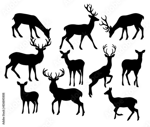 Deers Silhouette: Majestic Wildlife, Forest Creatures, Flat Vector Illustration
