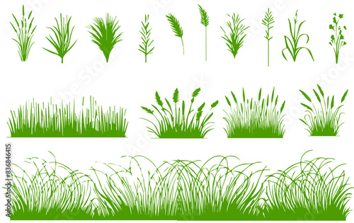 Set of green grass with wild herbs on white background. Grass bushes of different shapes. Vector illustration.