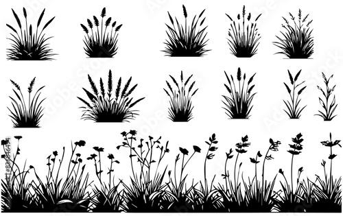 Grass elements set collection vector illustration