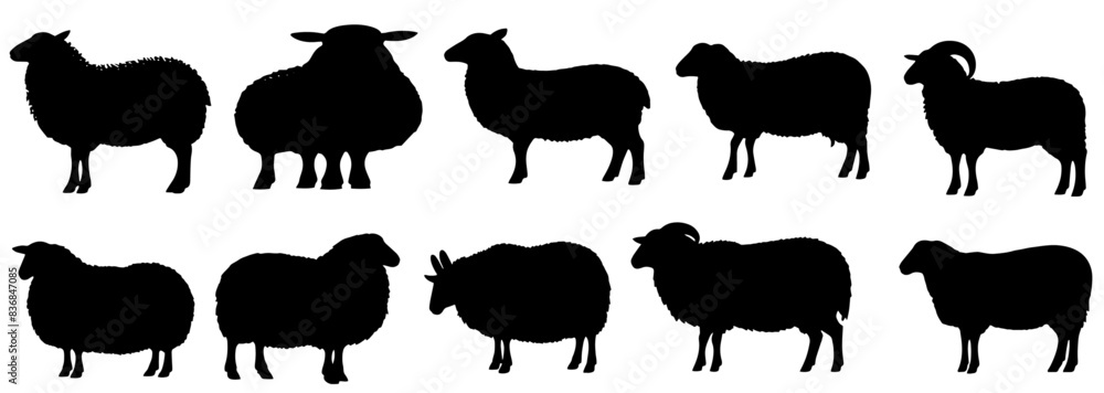 Sheep silhouette set ,isolated vector images of wild animals. flat ...