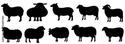 Canvas Print Sheep silhouette set ,isolated vector images of wild animals