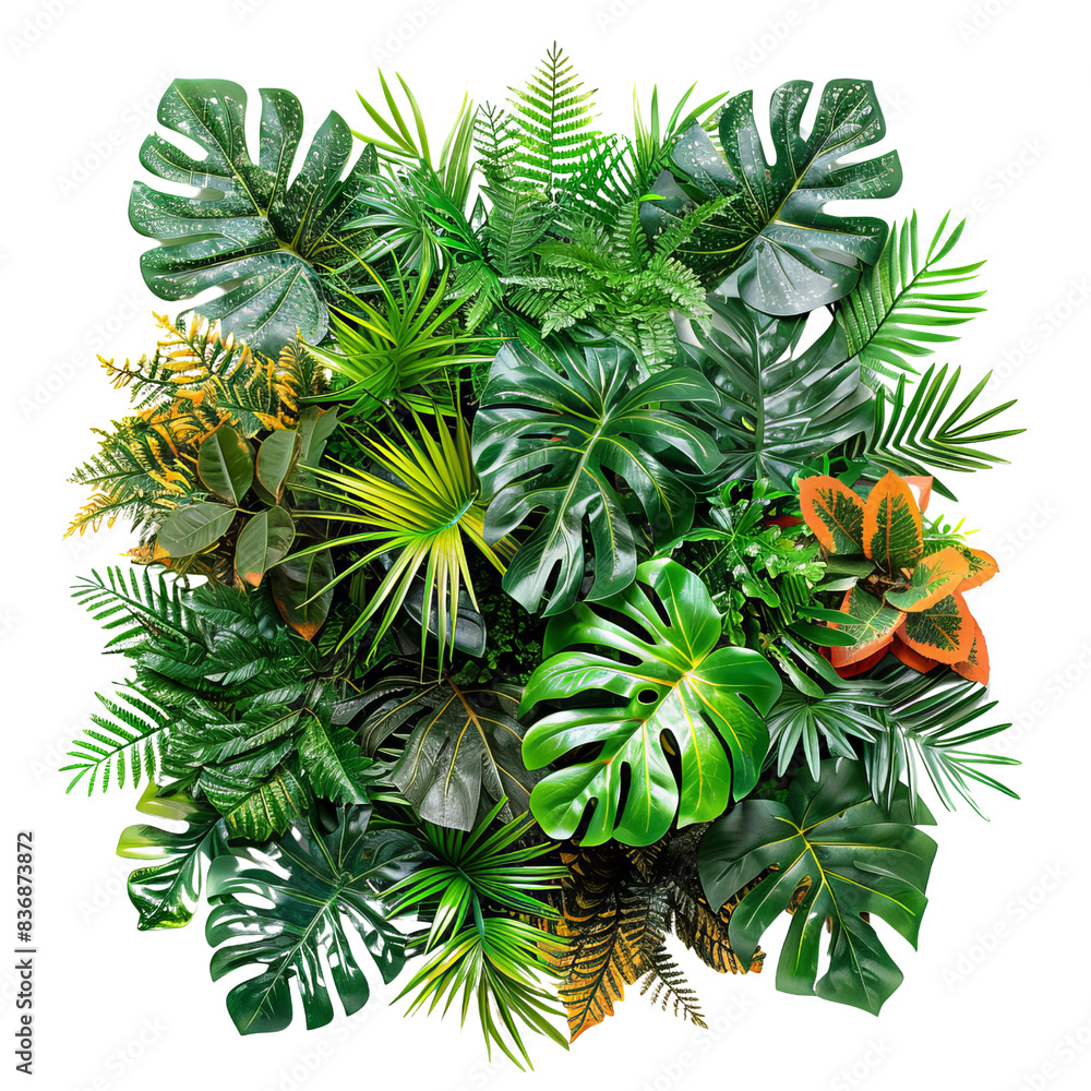 Fototapeta premium Lush tropical green and variegated leaves plant arrangement for indoor or outdoor gardening and decor inspiration.
